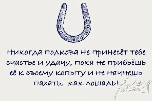 Пока он не принесет. Никогда подкова не принесет. никогда подкова не принесет тебе счастья и удачу пока. подкова не принесет тебе удачу пока. подкова афоризмы.