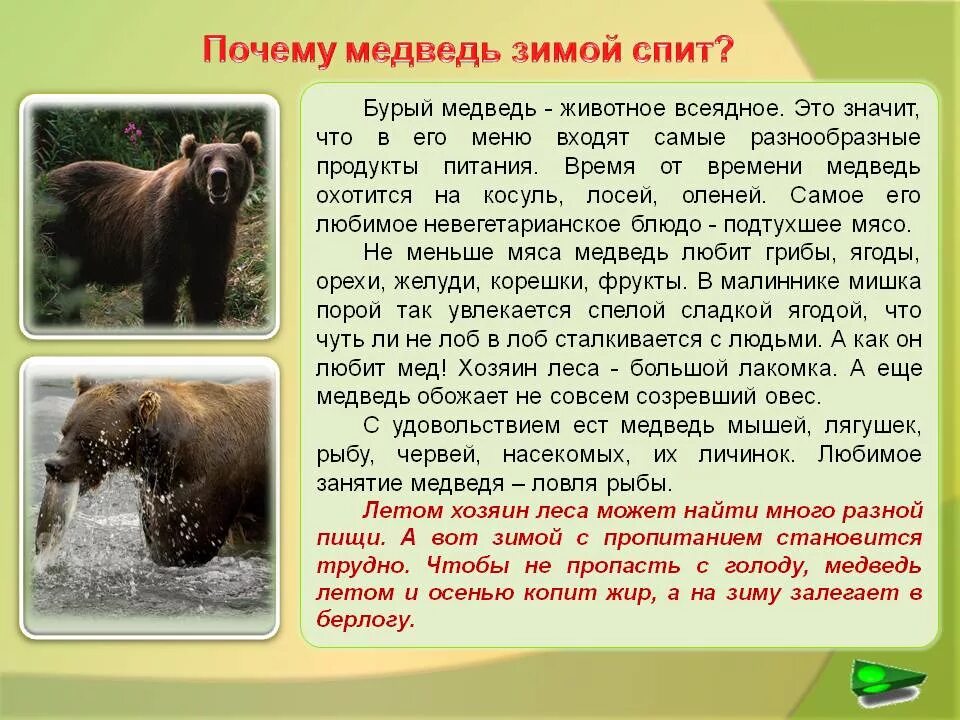 Рассказ про медведя 1 класс