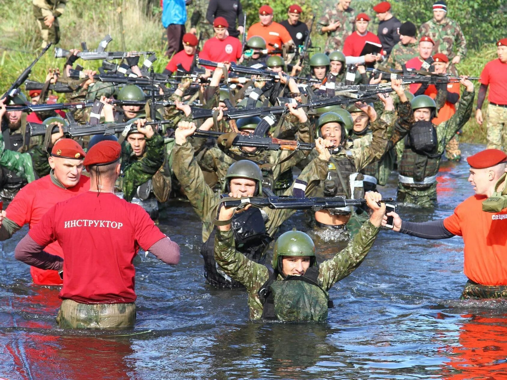 Сдача краповых