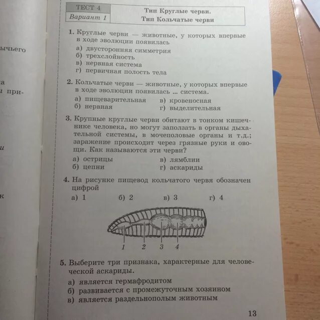 Контрольный тест по биологии 7 класс. Тесты по биологии 7 класс Тип круглые и кольчатые черви. Тест по червям. Тесты по биологии 7 класс. Тест круглые черви 7 класс.