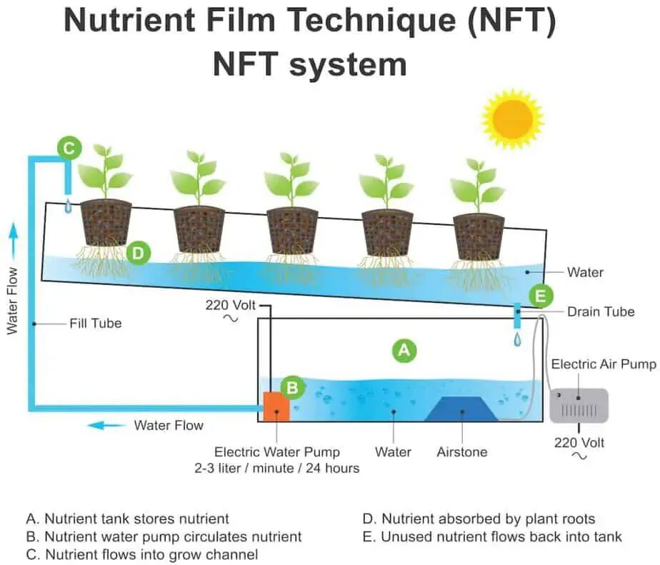 Техника питательного слоя NFT. NFT изображения. Идеи для NFT картинок. NFT Графика. Nft как работает