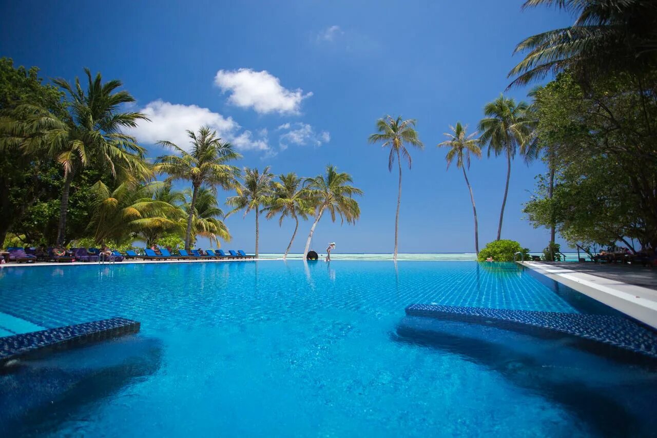 Island resort 4. Meeru island resort spa 4. meeru мальдивы. meeru maldives resort island. meeru island resort &amp; spa north male atoll.