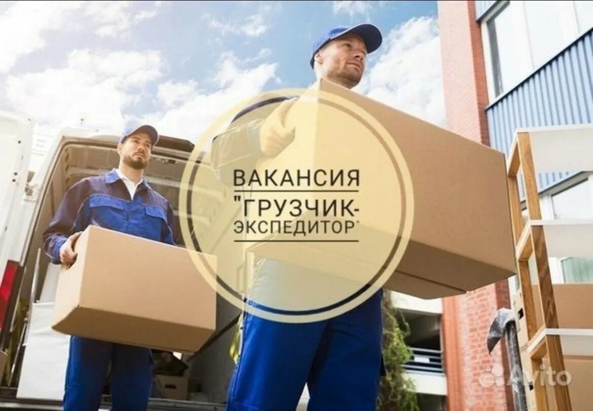 Экспедитор. Грузчик экспедитор. грузчик в мебельный магазин. грузчик-экспедитор вакансии. вакансия грузчик.