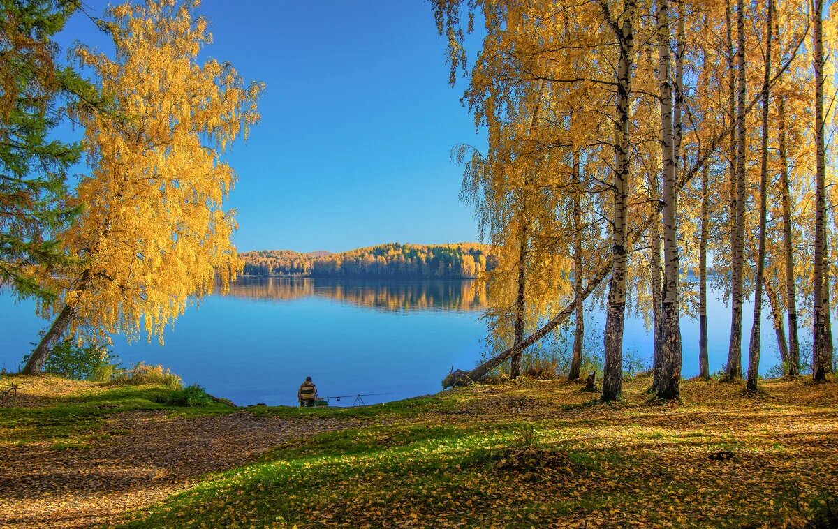 Осень красивое утро картинки. Осенний пейзаж. Октябрь природа. Осеннее утро. Раннее осеннее утро.