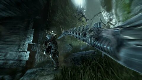 Alien vs predator пк