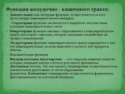 Секреторную функцию выполняет
