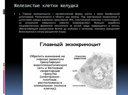 Какие клетки у 7