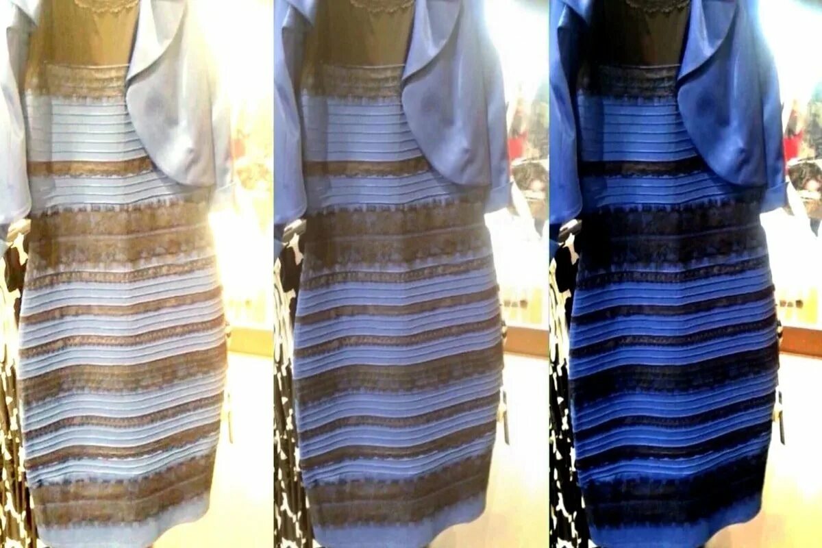 Выбери синий или черный. Знаменитое платье меняющее цвет. Бело желтое платье иллюзия. Платье разного цвета для каждого. Вещи которые видят по разному.