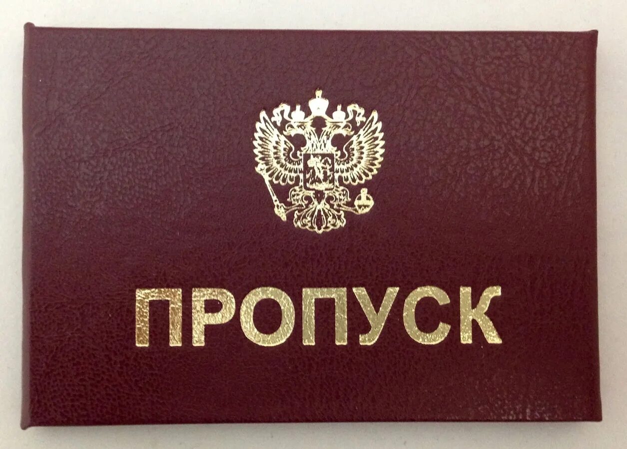 Пропуск дня. Пропуск. прупу. пропуск картинка. пропуск с фотографией.