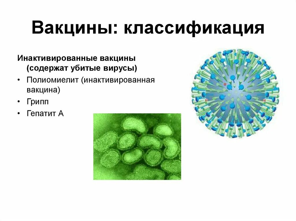 Инактивированные вакцины. Классификация вакцин. Классификация вакцины полиомиелита. Вирусы от которых есть вакцины.