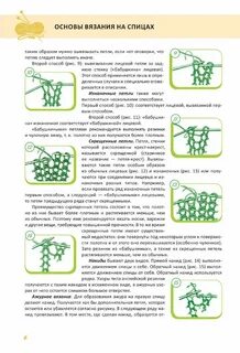 Слова связанные с обж