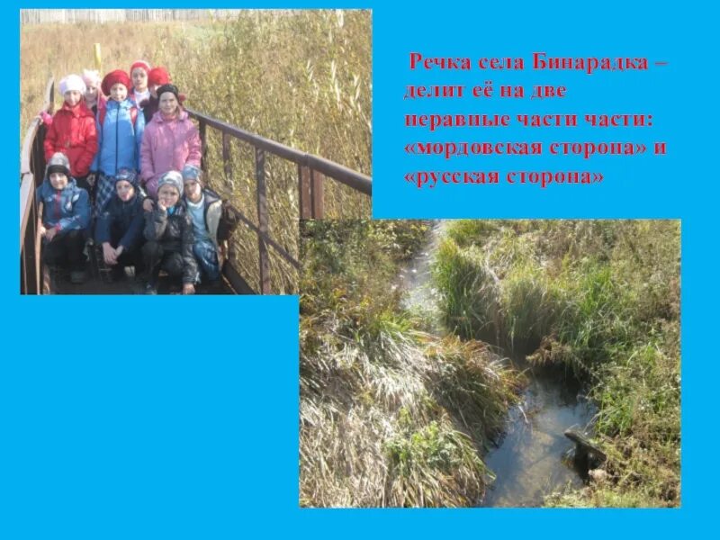 Родное село окружающий мир