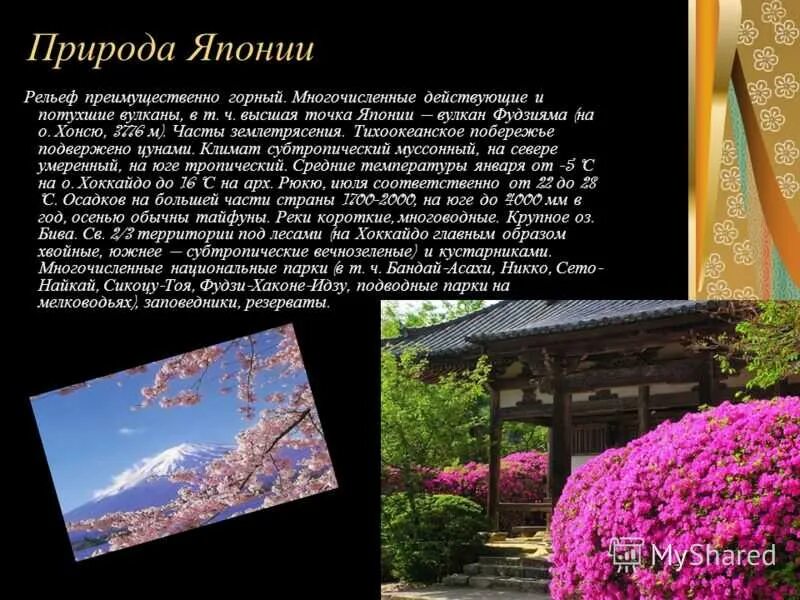 7 на японском