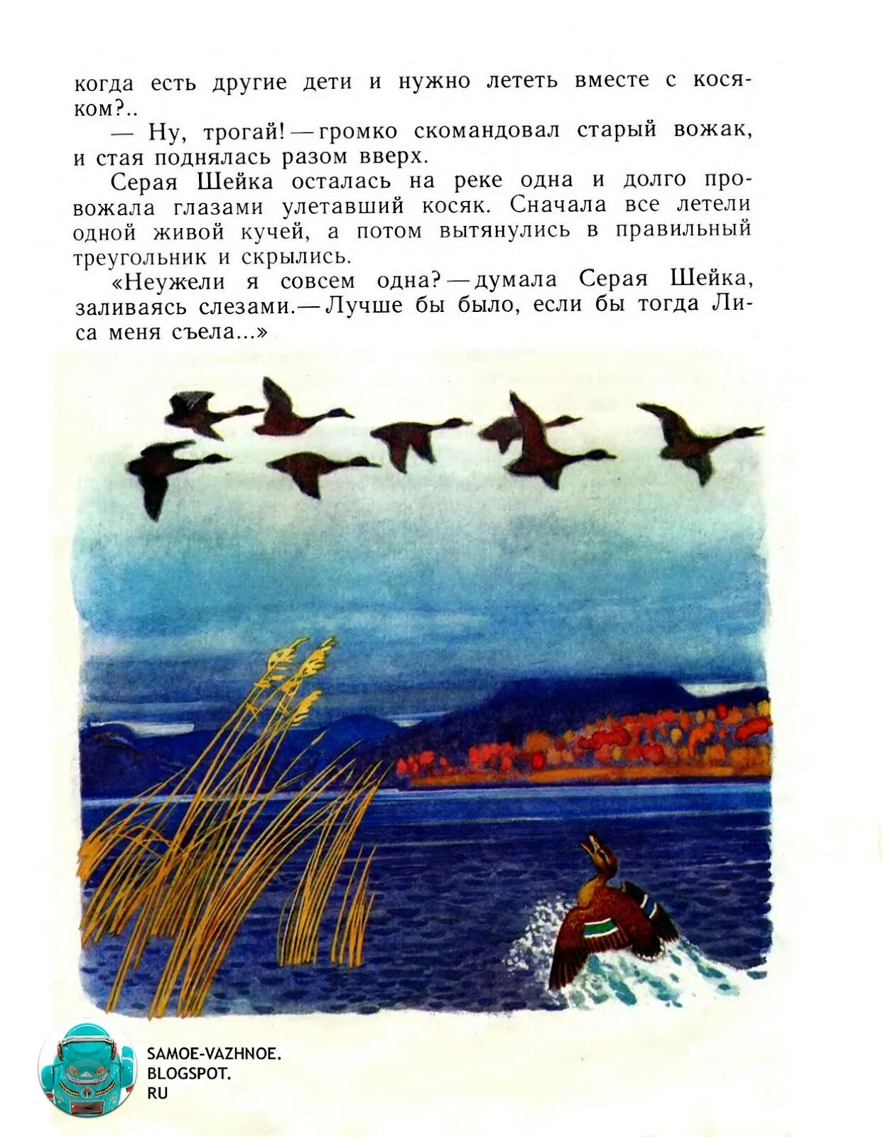 У серой шейки замерло сердце. Серая шейка. Рассказ серая шейка. Мамин Сибиряк серая шейка. Серая шейка текст.