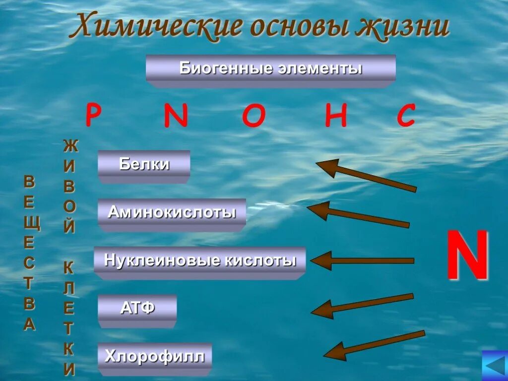 Что составляет основу жизни человека. Химические основы жизни. Химия основа жизни. Биогенные элементы. Химической основой жизни является.