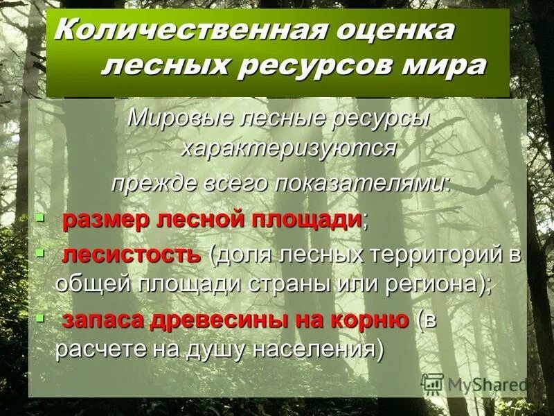группы лесных ресурсов. значение лесных ресурсов. проблемы рационального использования лесных ресурсов. проблемы лесных ресурсов в россии. запасы лесных ресурсов россии.