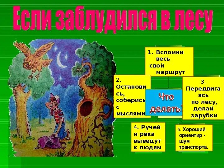 Что есть если заблудился в лесу. Чо дела ь есле ты потерялся в лесу. памятка для заблудившихся в лесу. памятка что делать если ты заблудился. что делать если ты заблудился в лесу.