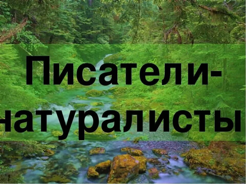 Русский писатель натуралист 6. Русский писатель натуралист 6. Русский писатель натуралист 6. Писатели натуралисты для детей. Кто такие писатели натуралисты.