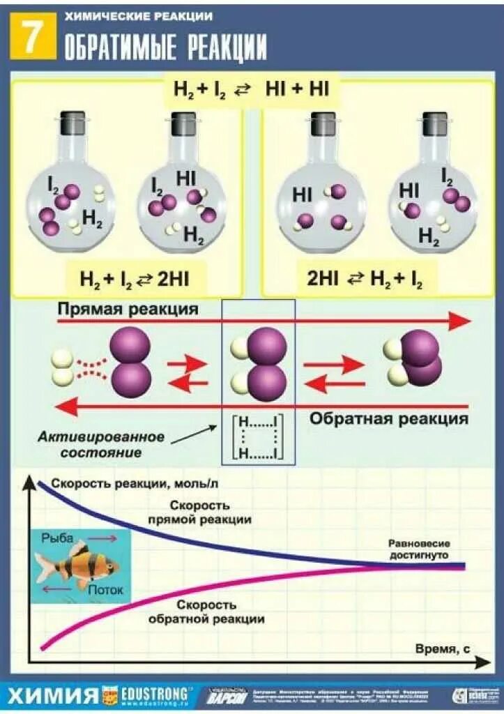 Химические реакции. Прямые и обратные химические реакции. Прямые и обратные реакции в химии. Прямая и Обратная реакция в химии. Hi химическая реакция