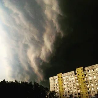 Осадки зеленоград