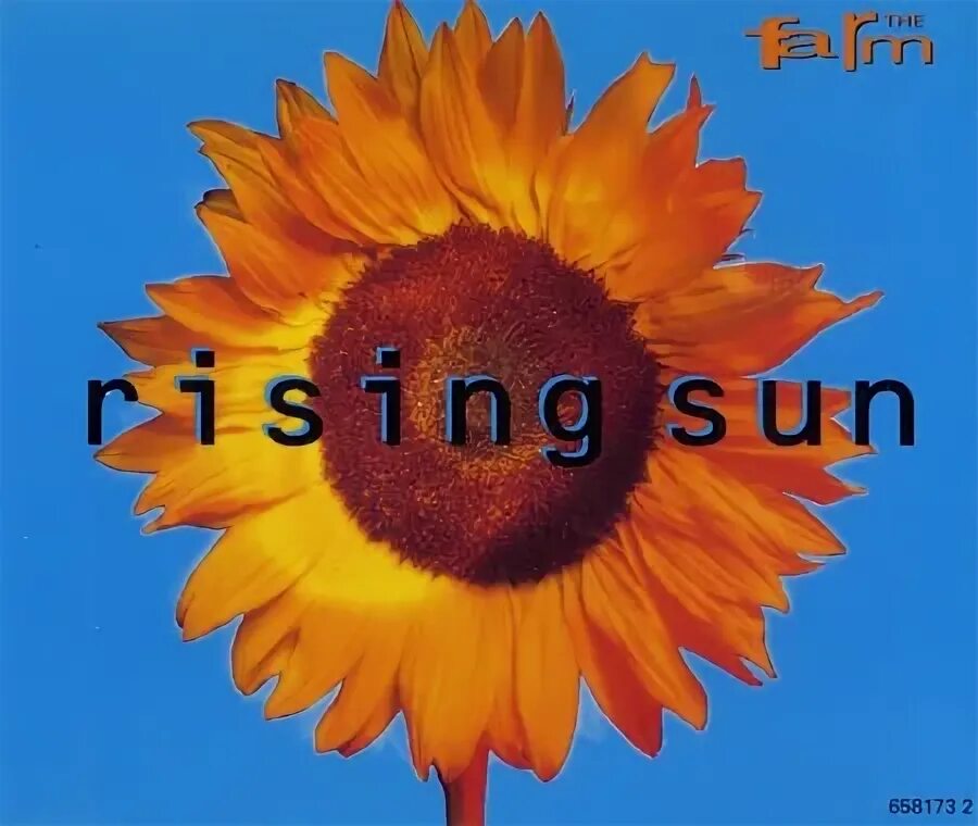 Sun us