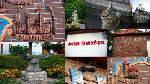 Светлогорск калининград 118