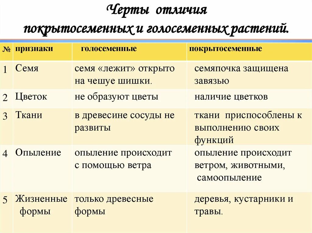 Термины покрытосеменных. Таблица признаки Голосеменные Покрытосеменные. Черты различия голосеменных и покрытосеменных. Различия голосеменных и покрытосеменных таблица. Основные отличия покрытосеменных от голосеменных 6 класс.