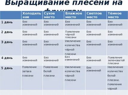 Выращивание плесени на хлебе практическая