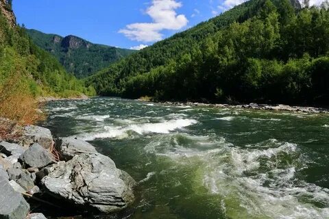 Река белая сосна