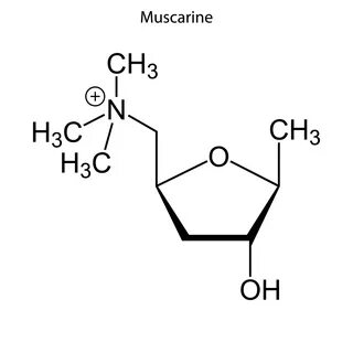 Мускарин