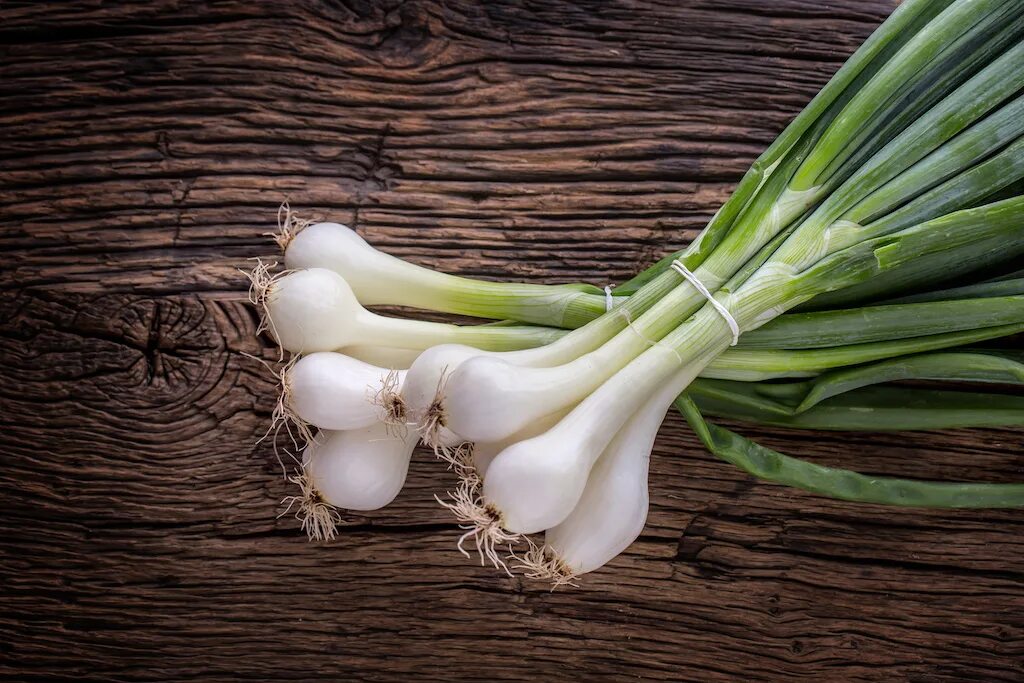 Scallion