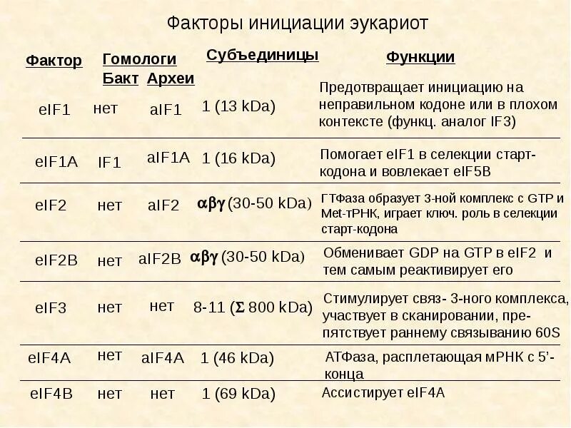 Факторы инициации это в биологии. Фактор инициации эукариот. факторы трансляции. факторы трансляции эукариот. факторы терминации трансляции у эукариот.