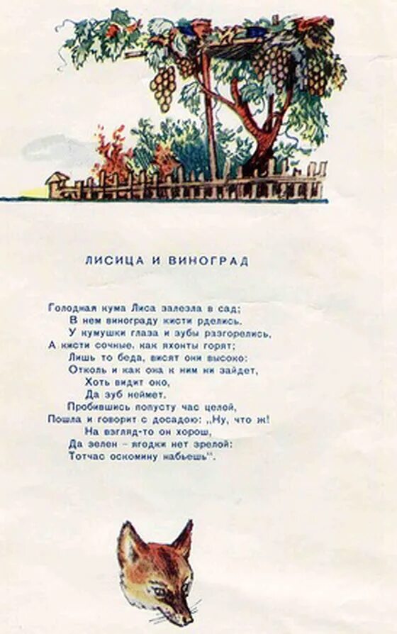 Крылов лисица и виноград. Маленькая басня Крылова лисица и виноград. Басня Андреевича Крылова лисица и виноград. Видит око да зуб неймет басня