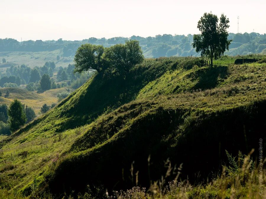 Косогор россия. Косогоры. Косогор. Косогор фото. Бельский луга.