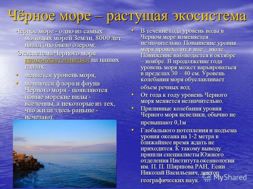 Тест на черном море. Экосистема черного моря. Характер и черного моря. Уровень черного моря. Черное море проблемы моря.