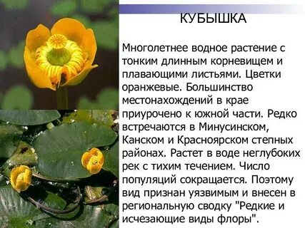 Почему кубышка стала недоступна
