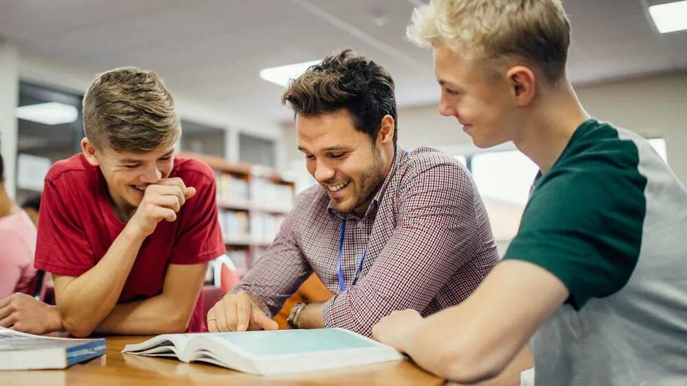 They study in the same. They study in the same