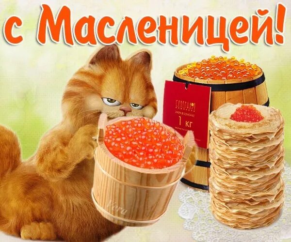 Кот с блинами на масленицу. С Масленицей открытки с котами. Масленица котики открытки. Коты поздравляют с Масленицей. Открытки с Масленицей прикольные.