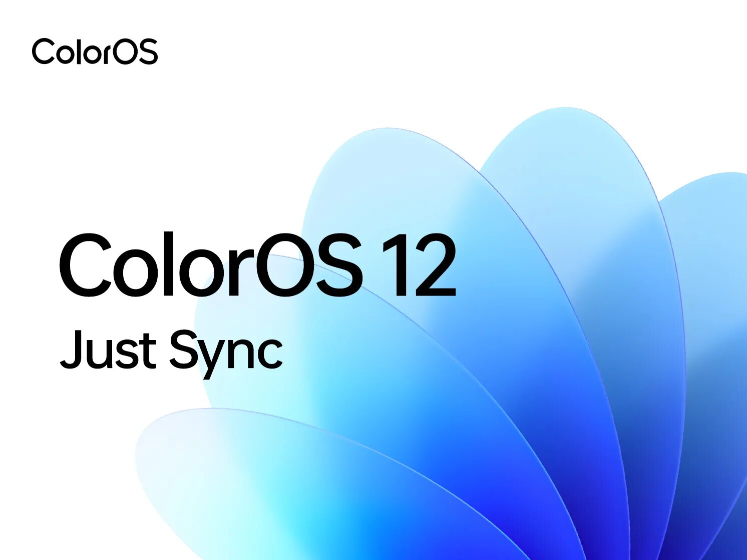 Color os прошивки. Coloros. color os 12. coloros 13. coloros 12.1.