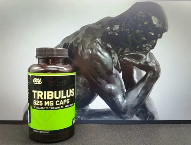 Трибулус Optimum Nutrition. Optimum Nutrition Tribulus 625. Tribulus 625 MG 100 капс Optimum Nutrition. Tribulus-625 caps Optimum Nutrition.