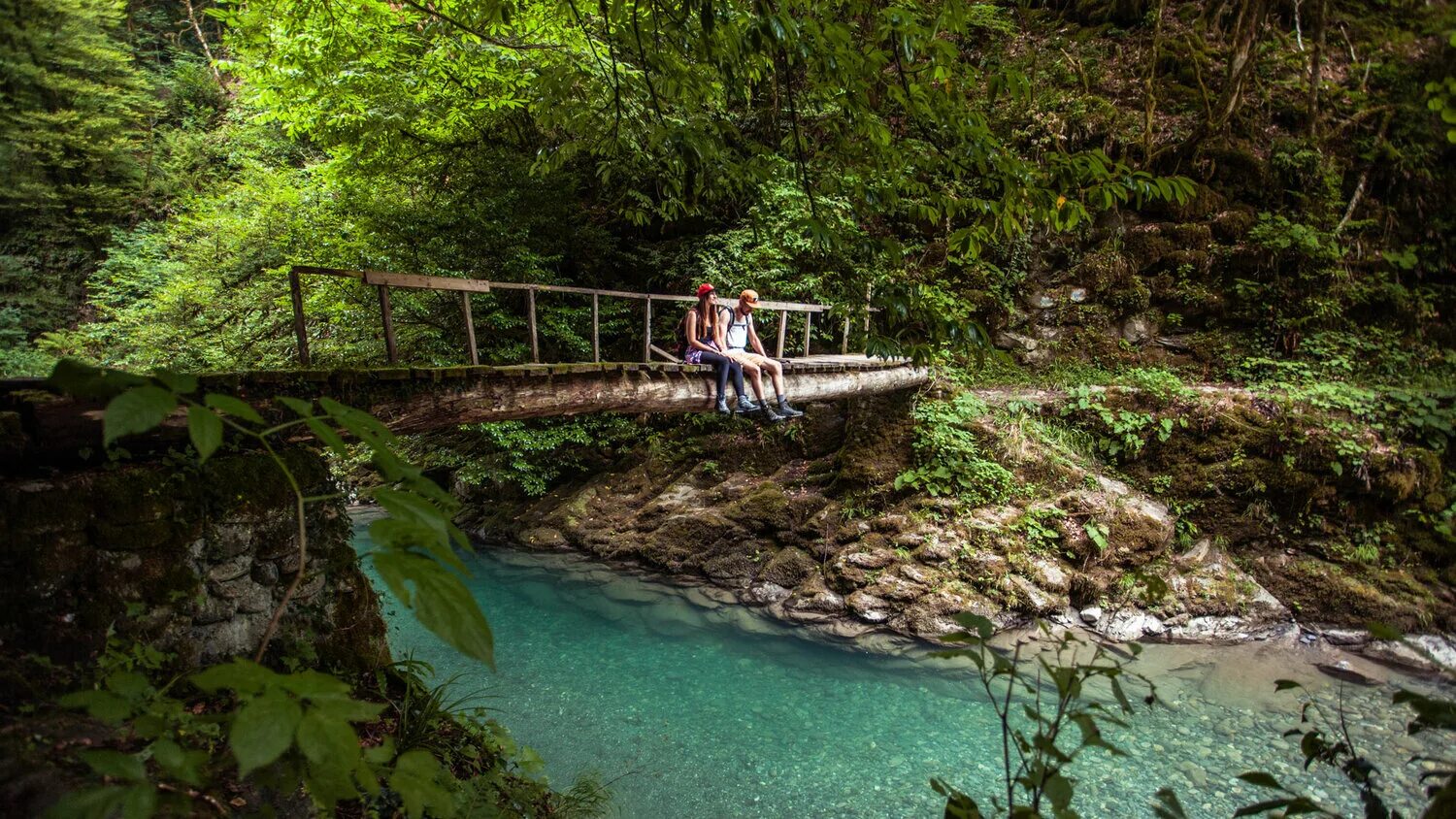 черничная тропа в красной поляне маршрут. тропы красной поляны. река агва сочи. тропа здоровья красная поляна. альпийская тропа красная поляна сочи.
