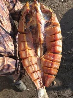 Копчение толстолобика
