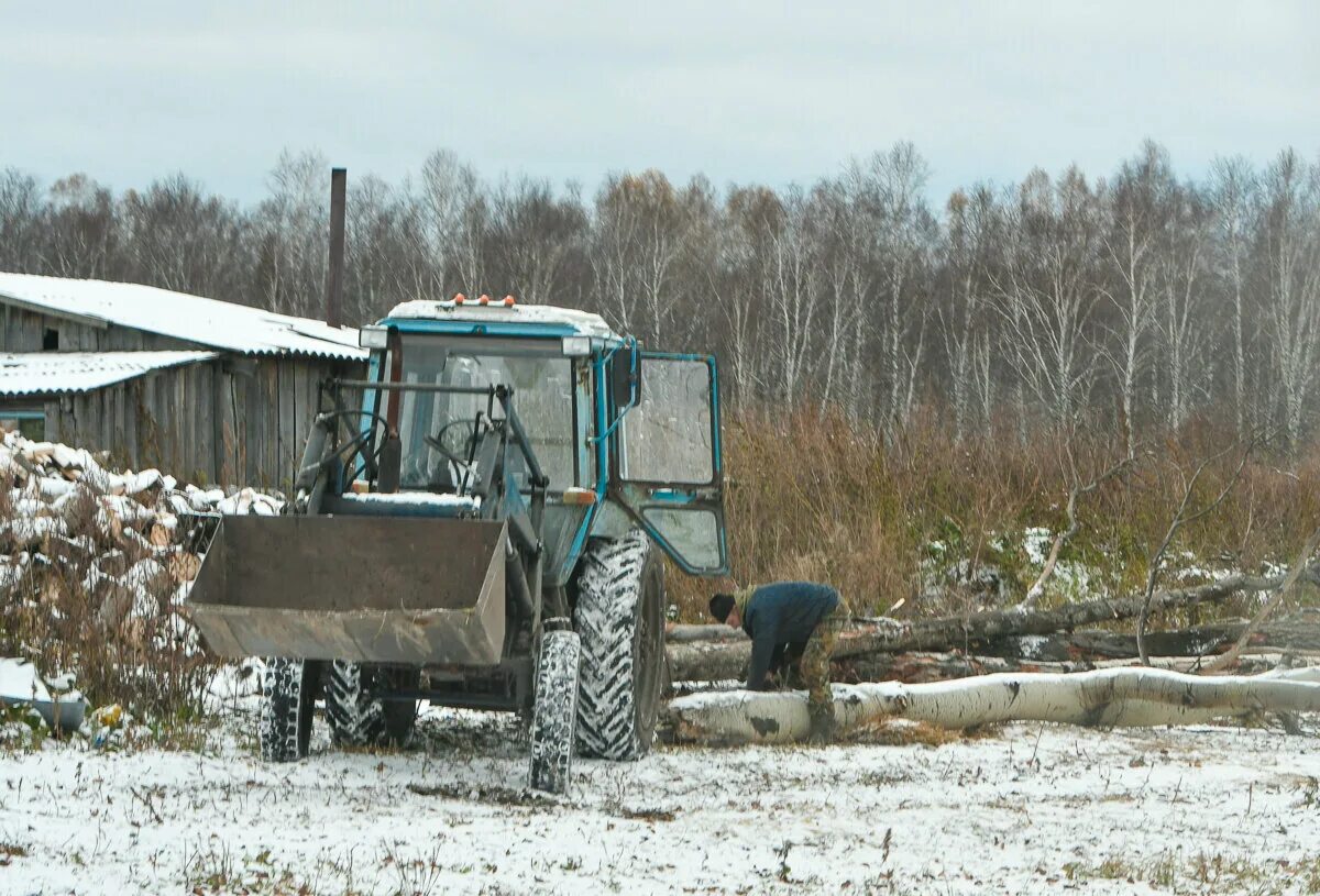МТЗ для заготовки дров. Трактор в лесу с дровами. Заготовка дров на вездеходе Борус. ГАЗ 52 заготовка дров. Подъезжая к лесу увидел он