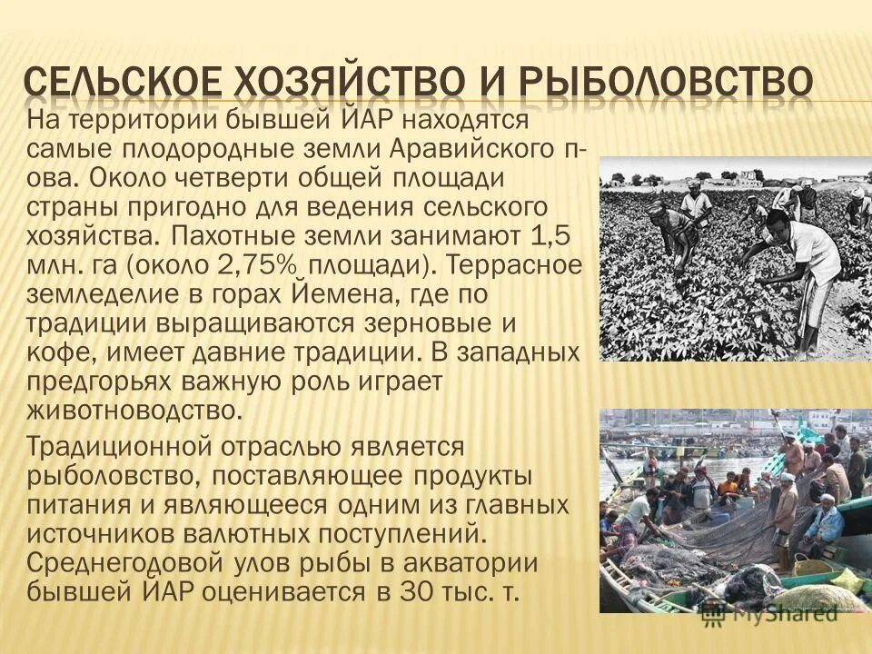 География сельского хозяйства и рыболовства 10 класс. Рыболовство это сельское хозяйство. Рыбоводство в естественных водоемах. Отраслевая специализация норвегии. Отрасли сельского хозяйства рыбная ловля.