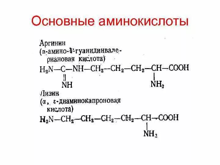 Кислотно основные аминокислоты