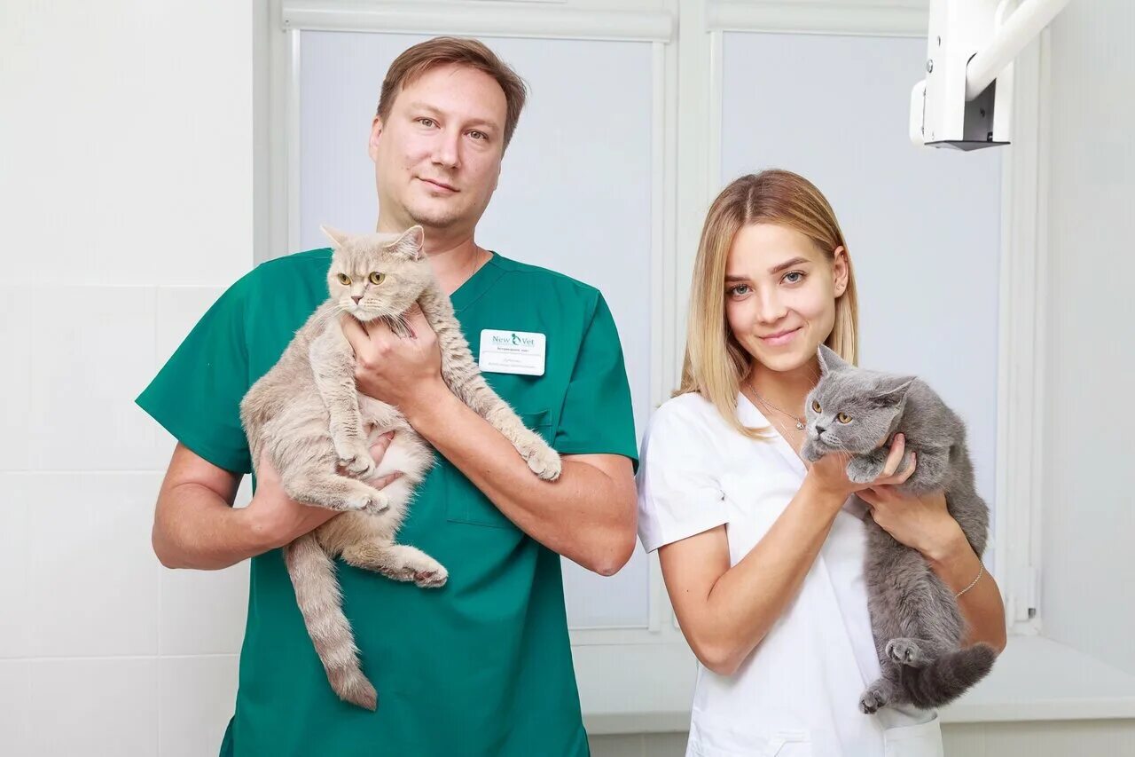 Vet union фото. Ветеринарная клинника. Ветеринар баграт агажанов. New vet. Ветеринар.