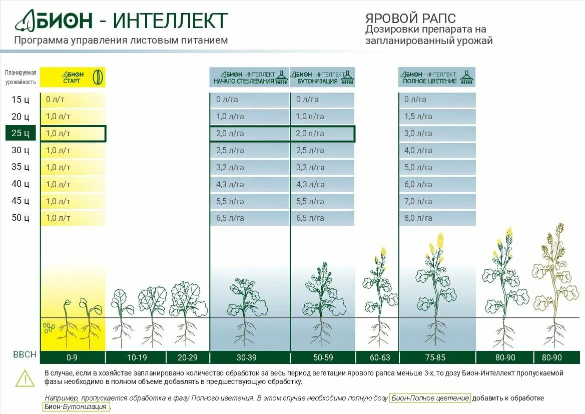 Температура вегетации. Фазы роста рапса ярового. Фазы созревания ярового рапса. Фазы развития рапса ярового по дням. Фазы роста озимого рапса.