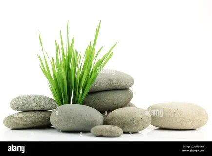 Download this stock image: Zen stone with fresh grass on white background -...