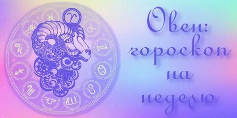 Водолей собака