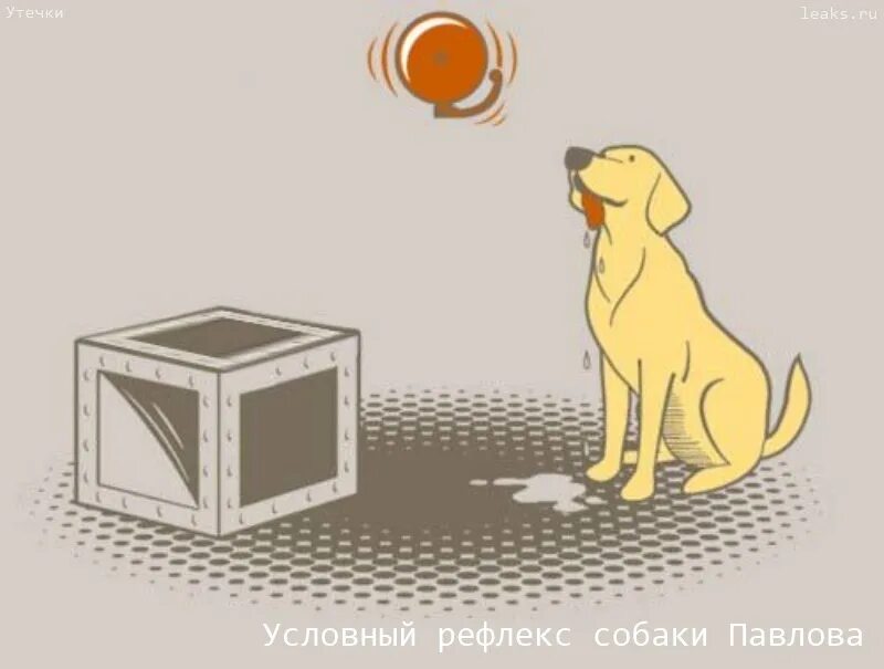 эксперимент павлова с собакой рефлекс. выработка условного рефлекса у собаки павлова. условная реакция собаки. эксперимент павлова с собакой рефлекс. условный рефлекс собачка.